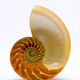 Image for article titled Incredible Photographs of Fractals Found in the Natural World